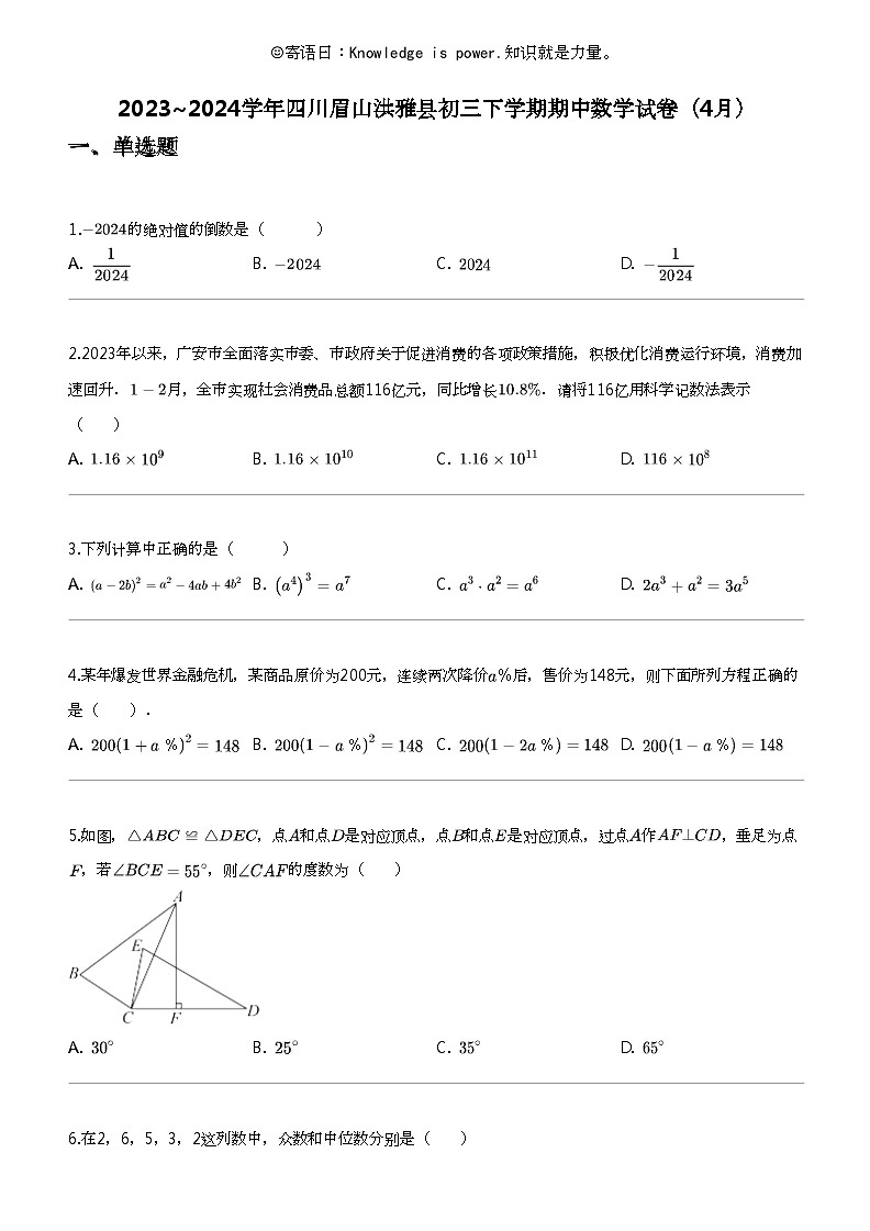 2023_2024学年四川眉山洪雅县初三下学期期中数学试卷（4月）第1页