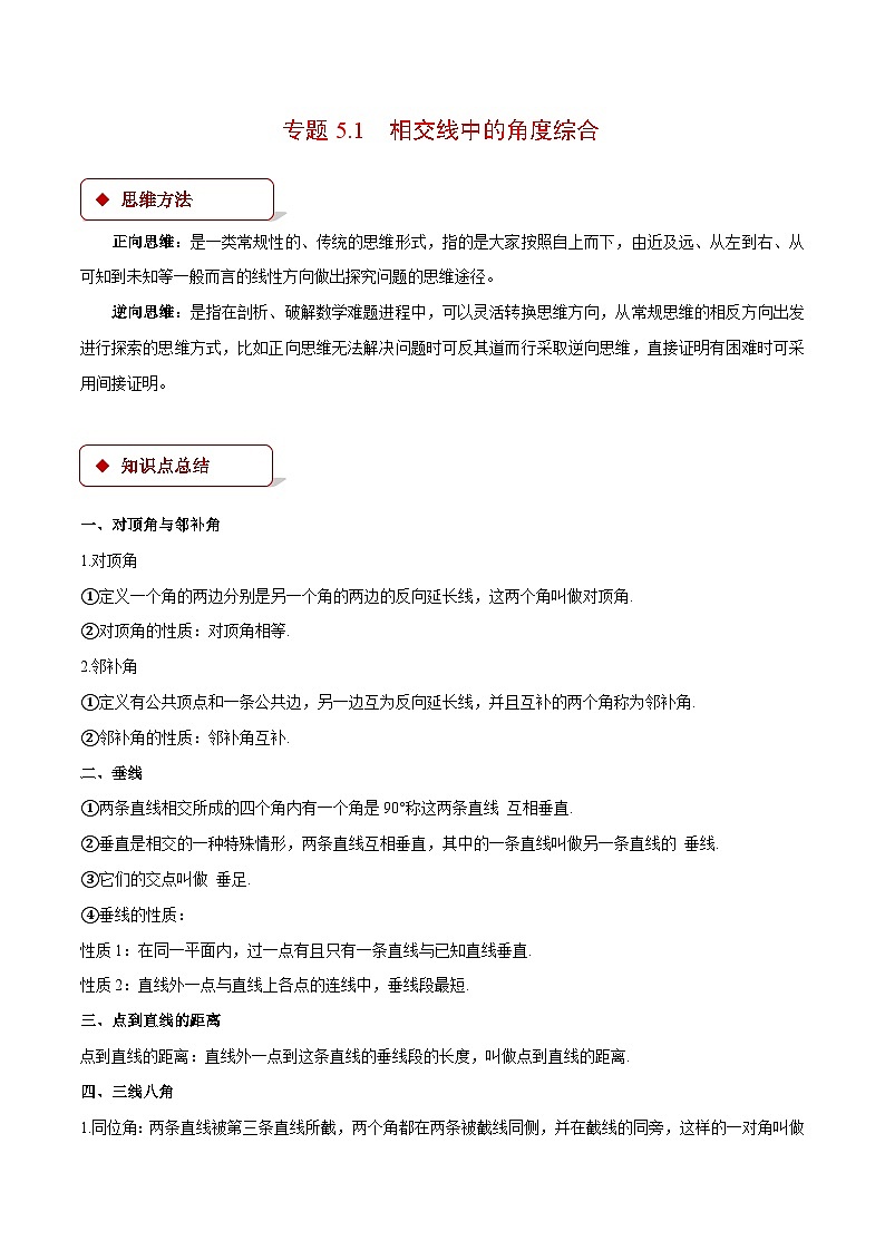 专题5.1 相交线中的角度综合（压轴题专项讲练）（人教版）（原卷版）-2023-2024学年七年级数学下册压轴题专项讲练系列（人教版）第1页