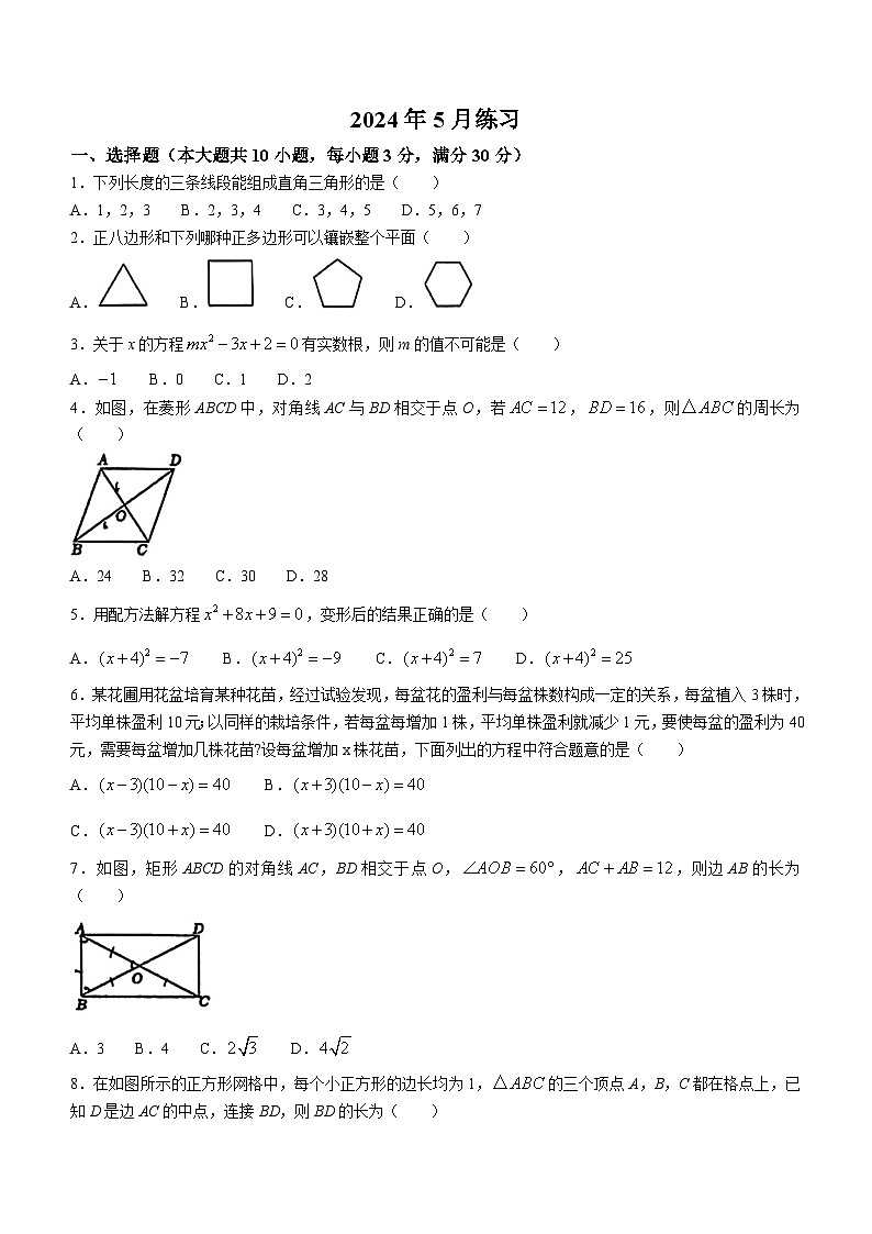 安徽省合肥市中国科大附中高新中学2023-2024学年八年级下学期月考数学试题01
