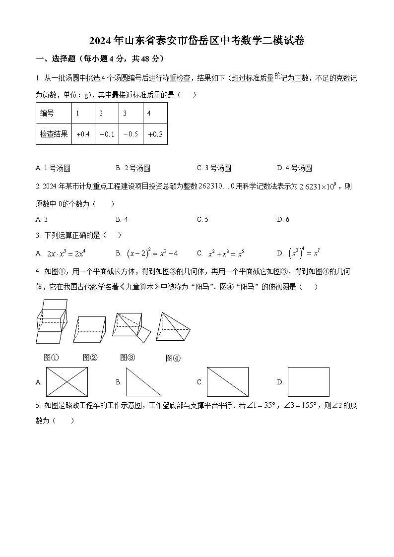 2024年山东省泰安市岱岳区中考二模数学试题（原卷版+解析版）01