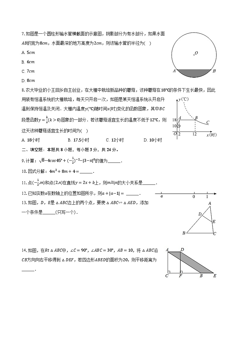 2024年宁夏石嘴山实验中学中考数学二模试卷（含解析）02