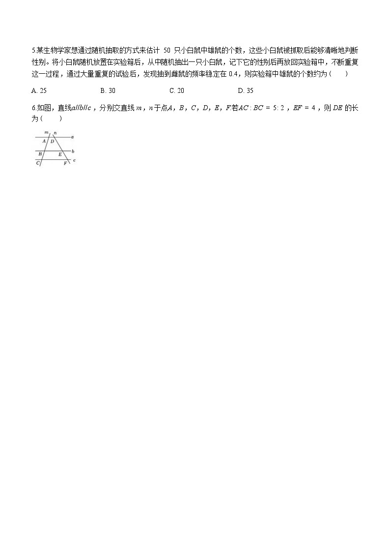 2024年广东省深圳市宝安区文汇学校中考模拟数学试题及答案02