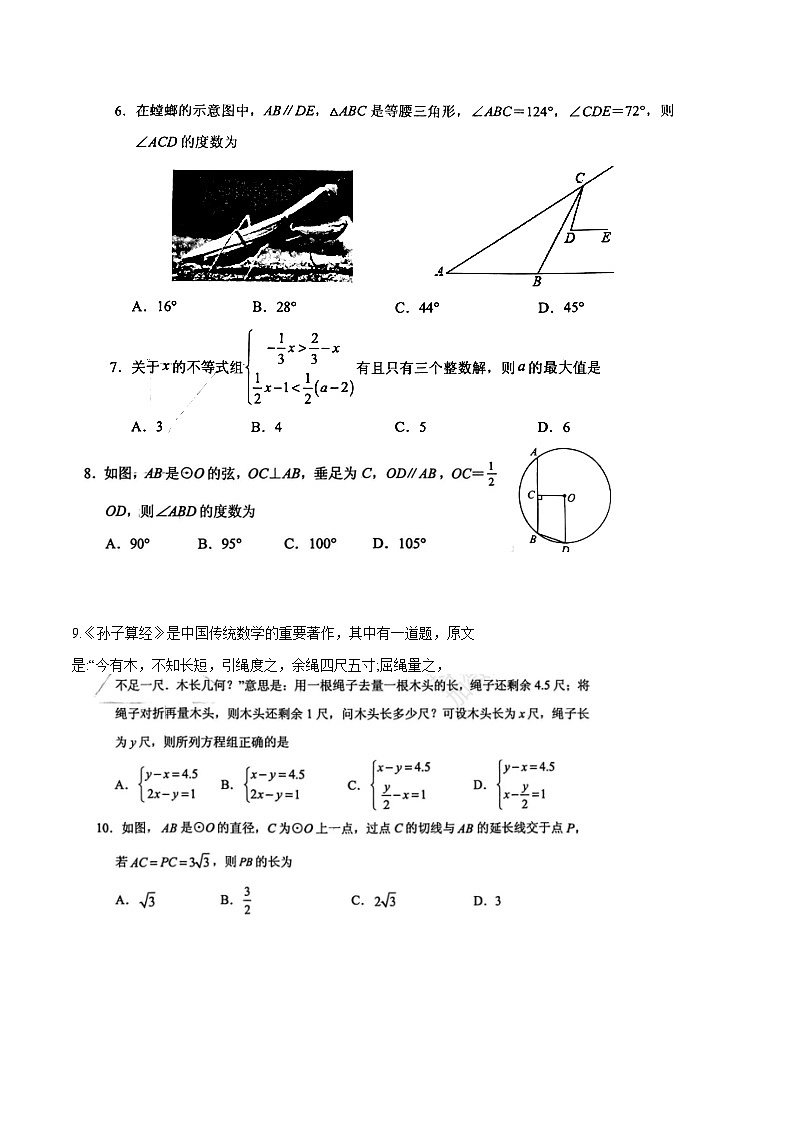 山东省泰安市肥城市2023届九年级下学期期中考试数学试卷(含答案)第2页