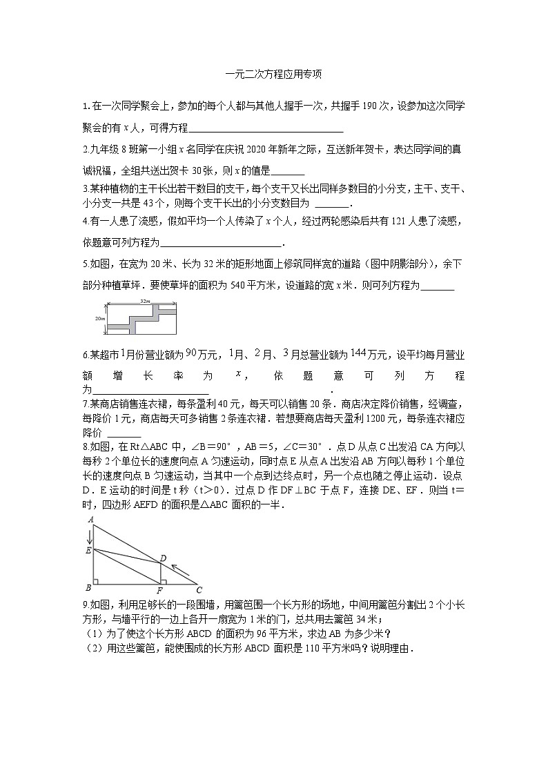 一元二次方程应用专项2023-2024学年广饶县乐安中学八年级下册数学鲁教版（五四学制）第1页