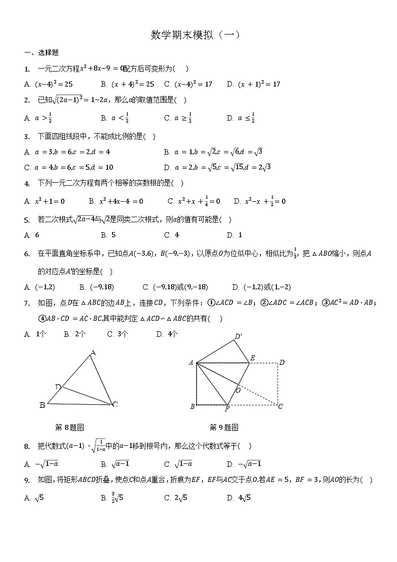 2023-2024学年广饶县乐安中学八年级下册数学鲁教版（五四学制）期末试卷模拟（一）01