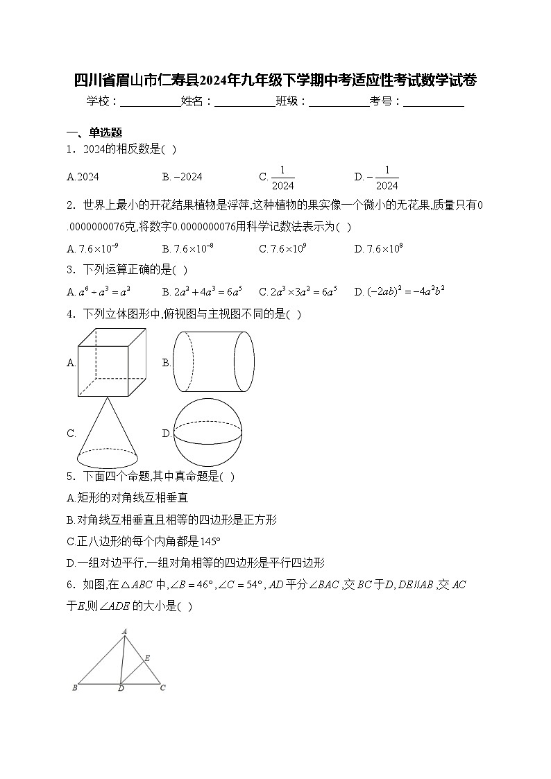 四川省眉山市仁寿县2024年九年级下学期中考适应性考试数学试卷(含答案)01