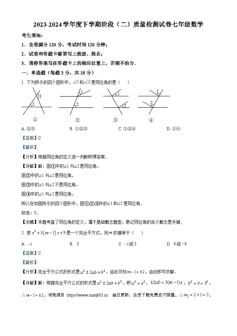 江西省九江市永修县第三中学2023-2024学年七年级下学期月考数学试题01
