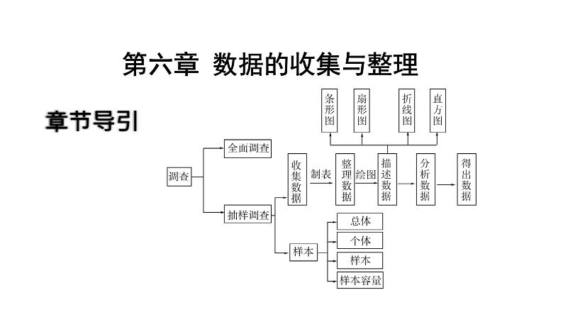 最新北师版七上数学6.1 数据的收集 课件第2页