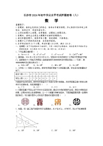 2024年湖南省长沙市初中学业水平考试数学押题密卷（八）