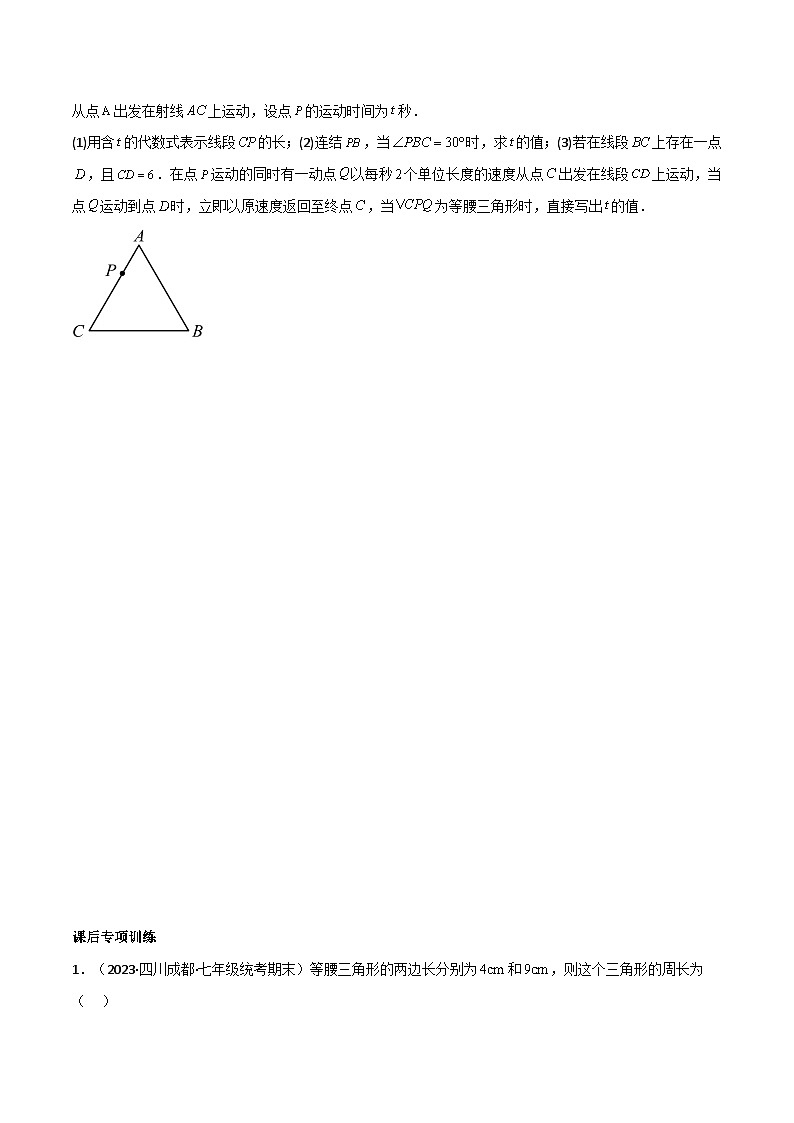 人教版八年级数学上册专题13等腰三角形中的分类讨论模型(原卷版+解析)03