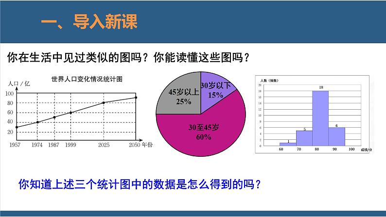 6.1 数据的收集-【高效课堂】2024-2025学年七年级数学上册同步精品课堂课件（北师大版）03