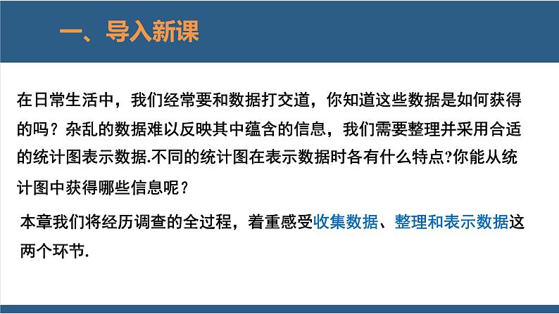 6.1 数据的收集-【高效课堂】2024-2025学年七年级数学上册同步精品课堂课件（北师大版）04