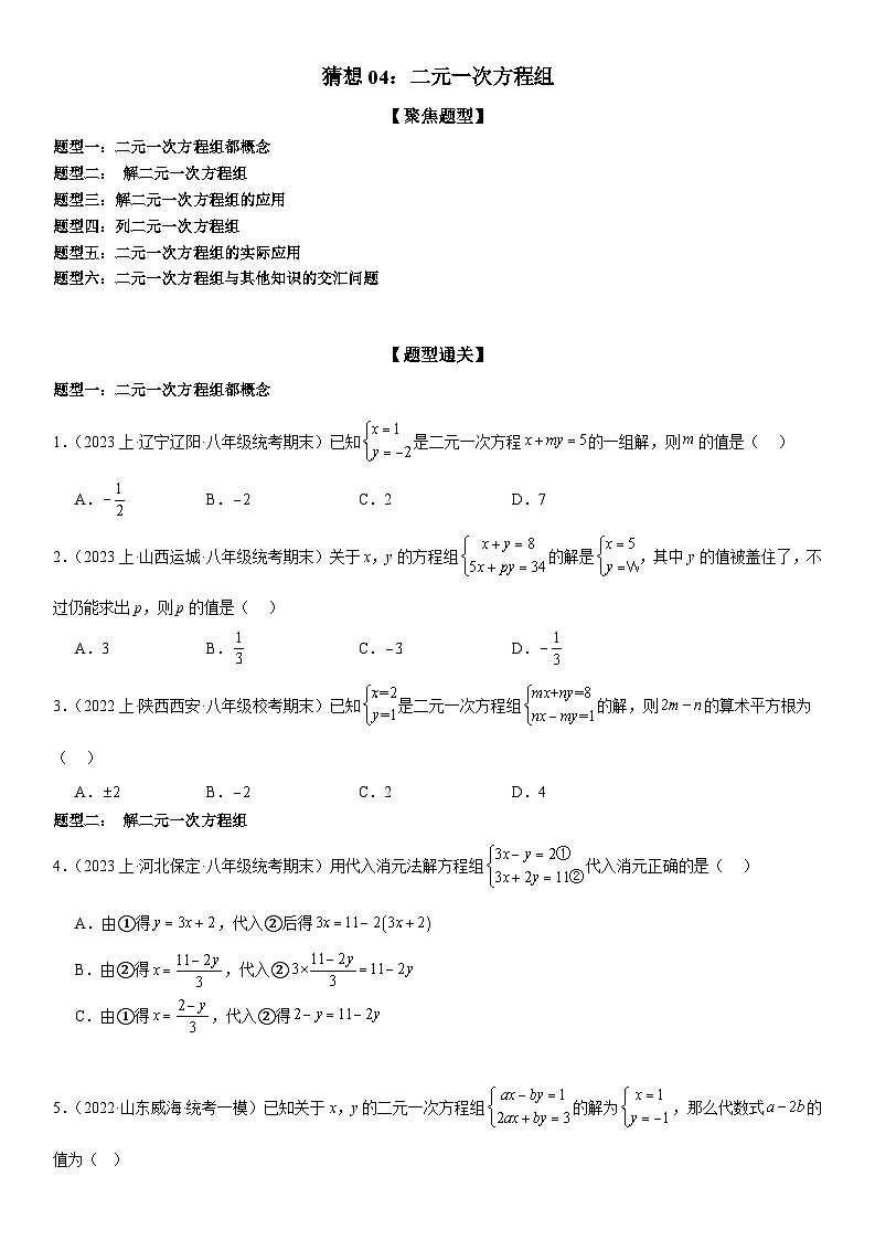 猜想04 二元一次方程组（易错必刷30题6种题型）（原卷版+解析版）01