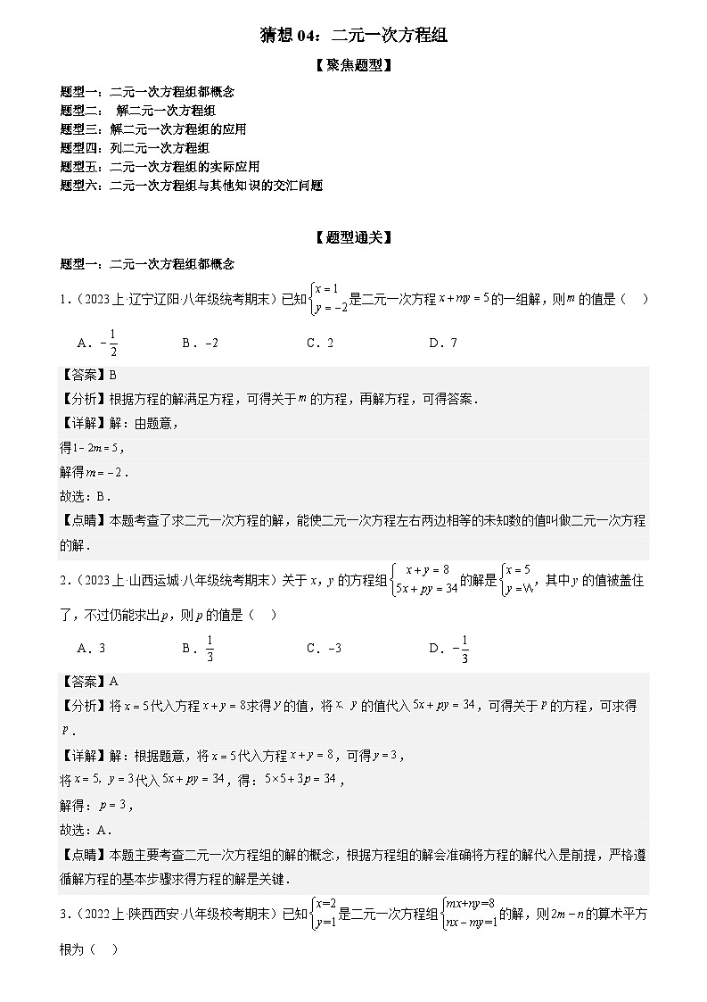 猜想04 二元一次方程组（易错必刷30题6种题型）（原卷版+解析版）01