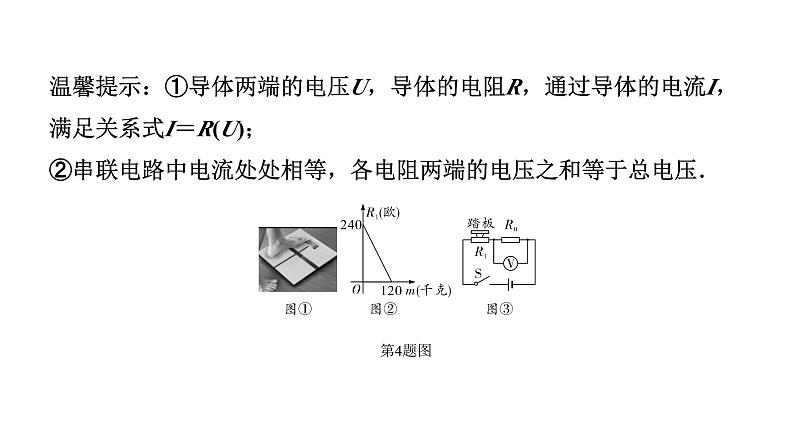 2024安徽中考数学二轮专题复习 题型一 跨学科试题 （课件）第8页