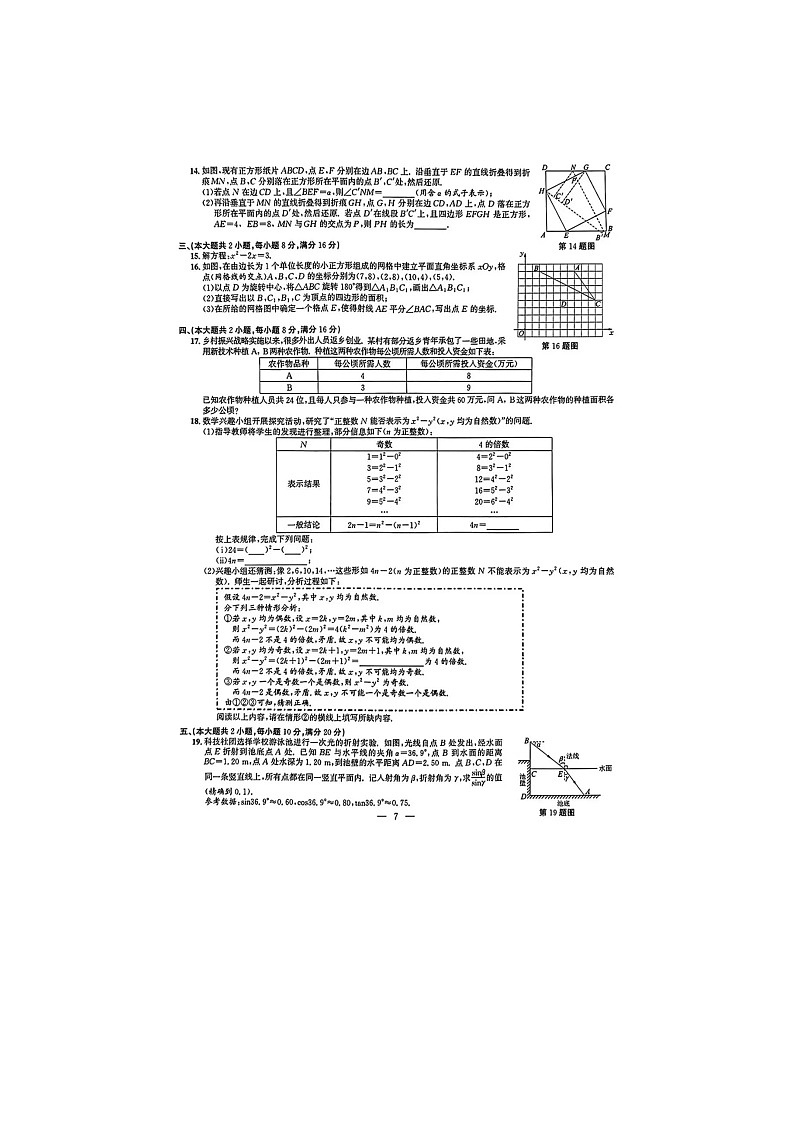 2024年安徽省中考数学试题（含答案）第2页