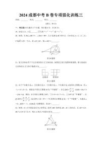 2024成都中考数学B卷专项强化训练三 (含答案)