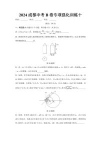 2024成都中考数学B卷专项强化训练十 (含答案)