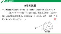 2024成都中考数学B卷专项强化训练03.B卷专练三课件