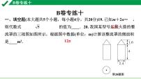 2024成都中考数学B卷专项强化训练10.B卷专练十课件