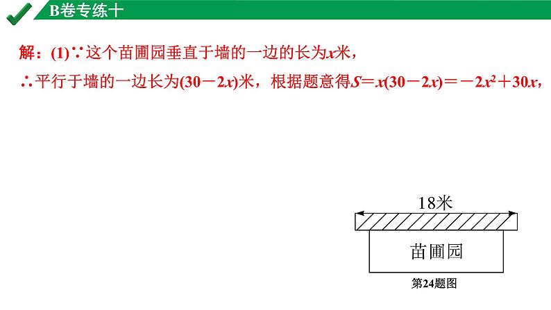 2024成都中考数学B卷专项强化训练10.B卷专练十课件第5页