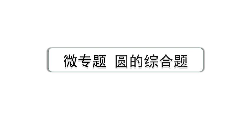 2024成都中考数学第一轮专题复习之第六章 微专题 圆的综合题 练习课件01