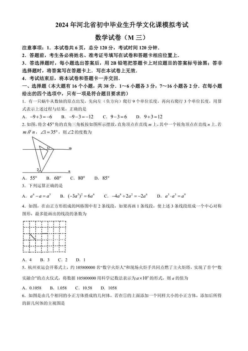 [数学]2024年河北省邯郸市大名县第十中数学中考三模数学试题（含答案）01