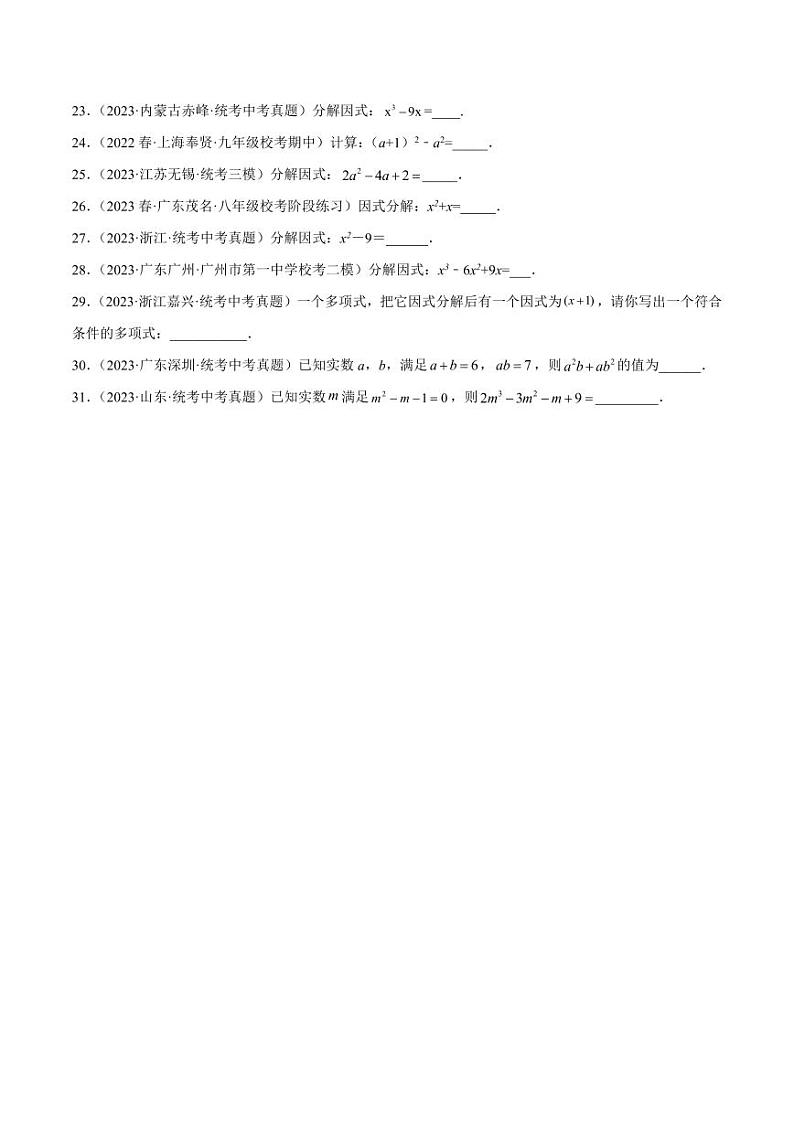 2024成都中考数学一轮复习专题 因式分解 (含解析)02