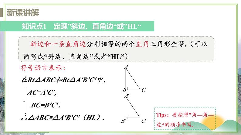 1.3 课时6 HL判定三角形全等第5页