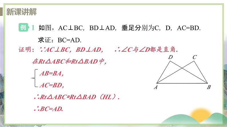 1.3 课时6 HL判定三角形全等第7页