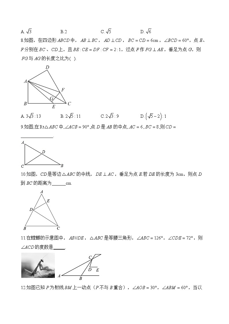 （5）三角形专项综合训练——2024届中考数学一轮复习三角形专项训练(含答案)第3页