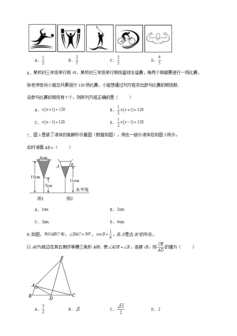 2023-2024学年 北师版 九年级第一学期  期中 数学 模拟 训练卷（解答卷）02