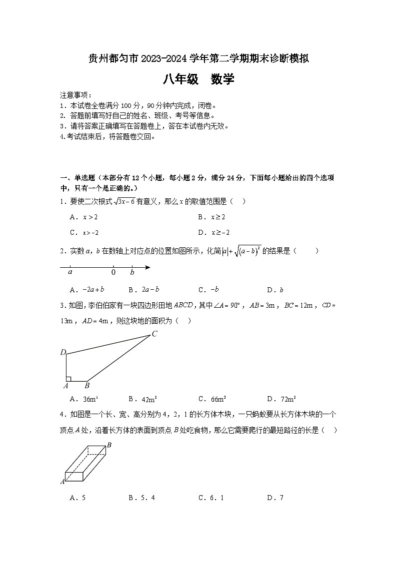 贵州省黔南布依族苗族自治州都匀市2023-2024学年下学期期末诊断模拟 八年级数学试题01