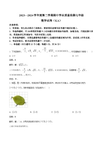 河北省石家庄市赵县2023-2024学年七年级下学期期中考试数学试卷(含解析)