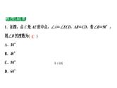 2024海南中考数学二轮复习 微专题 七大常考全等模型（课件）