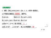 2024海南中考数学二轮重点专题研究 第18课时 全等三角形（课件）