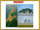鲁教版数学六年级下册8.1《数据的收集》  课件