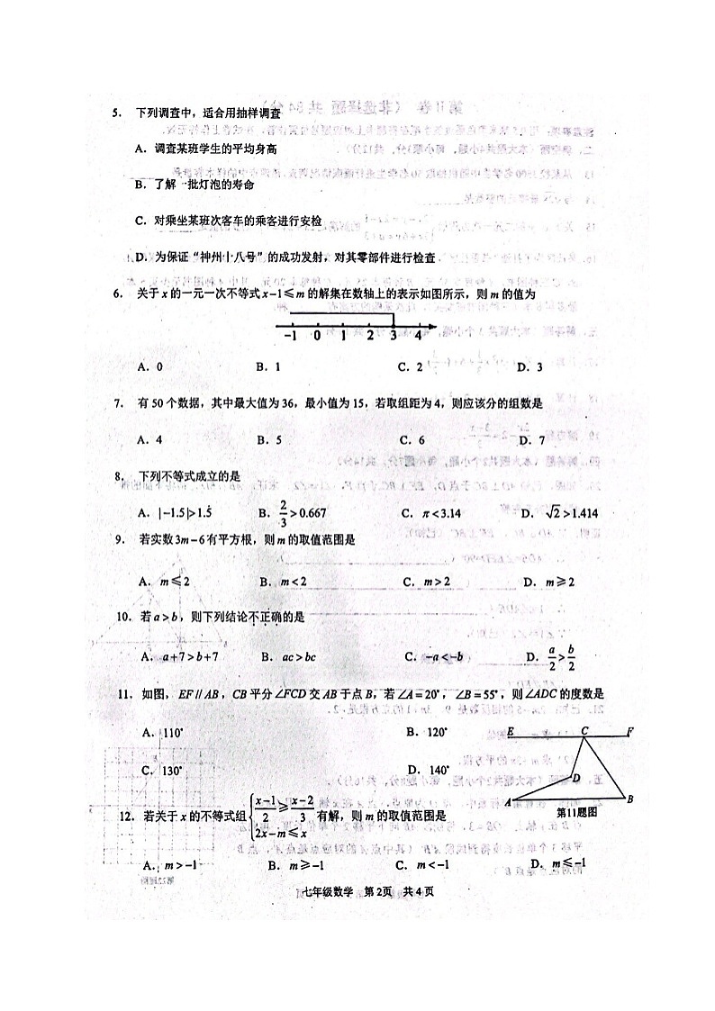 四川省泸州市合江县2023-2024学年七年级下学期期末考试数学试题02