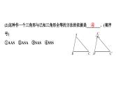 2024海南中考数学二轮重点专题研究 微专题 尺规作图（课件）