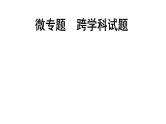 2024海南中考数学二轮重点专题研究 微专题 跨学科试题（课件）