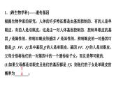 2024海南中考数学二轮重点专题研究 微专题 跨学科试题（课件）