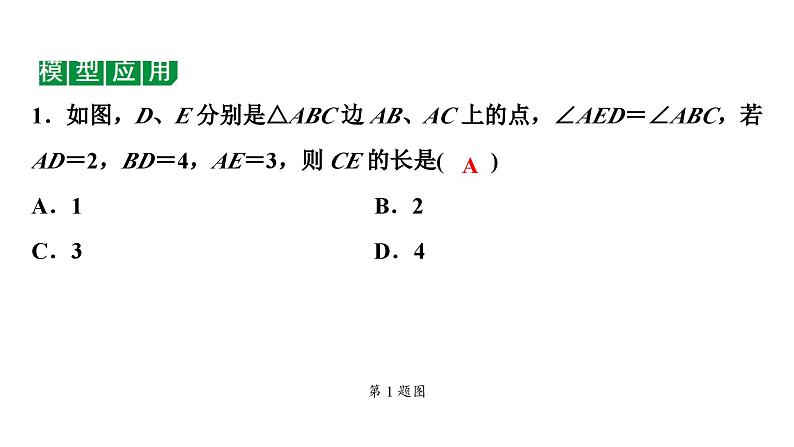 2024海南中考数学二轮重点专题研究 微专题 四大常考相似模型（课件）05