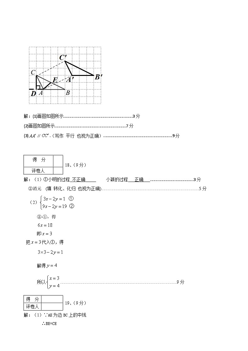 河南省南阳市方城县2023-2024学年下学期期终质量评估七年级数学试卷02