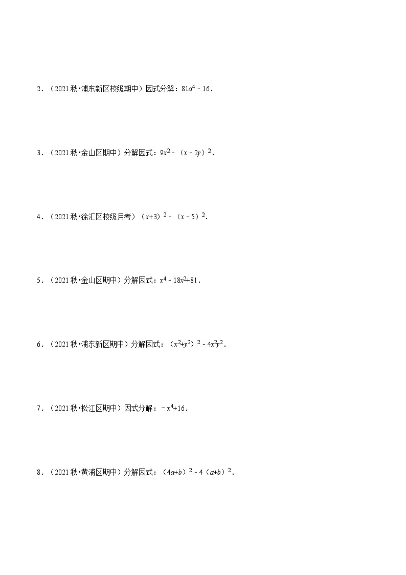 第08讲 公式法因式分解（核心考点讲与练）（原卷版）第2页