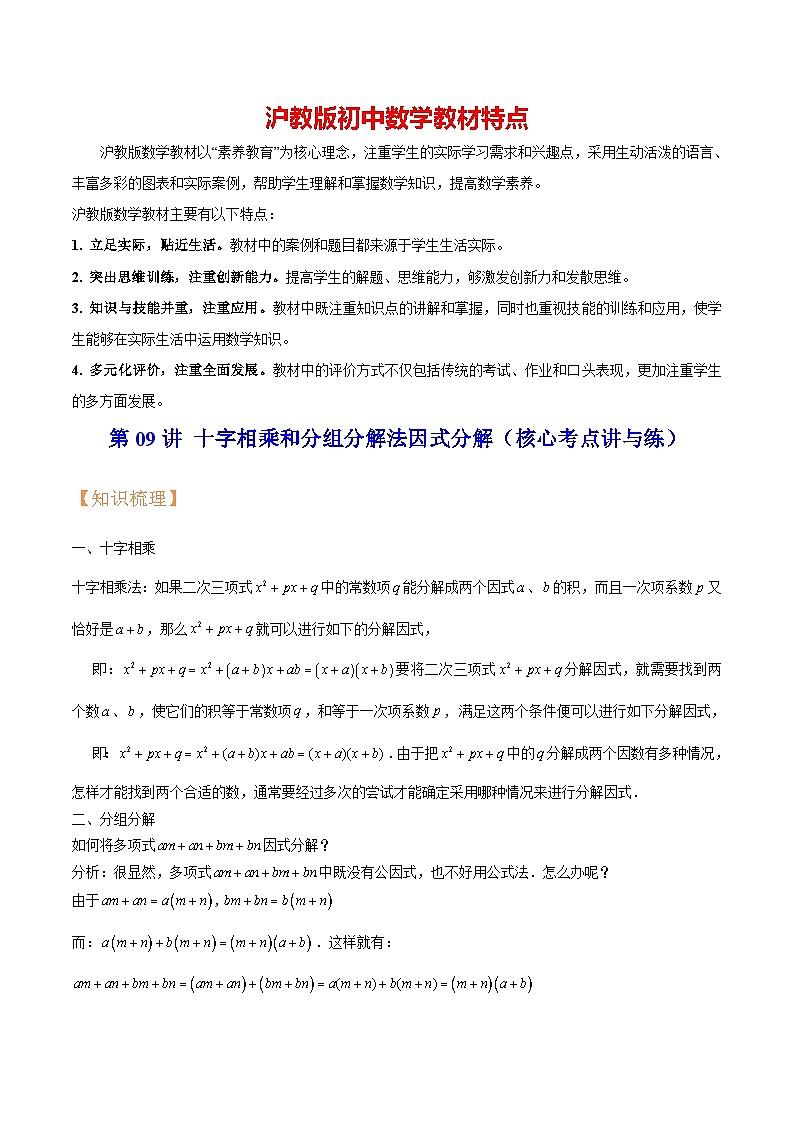 第09讲 十字相乘和分组分解法因式分解（核心考点讲与练）（解析版）第1页