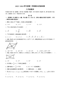 天津市河东区2023-2024学年八年级下学期期末数学试题(无答案)