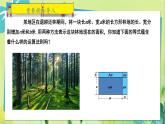 華師數(shù)學(xué)八年級(jí)上冊(cè) 12.2.3 多項(xiàng)式與多項(xiàng)式相乘 PPT課件