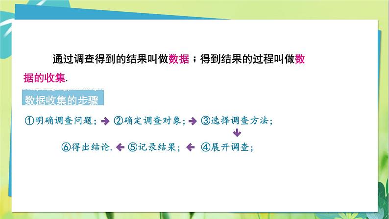 华师数学八年级上册 15.1 数据的收集 PPT课件第8页