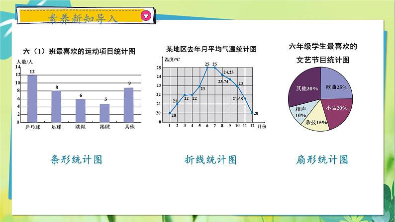 华师数学八年级上册 15.2 数据的表示 PPT课件第4页