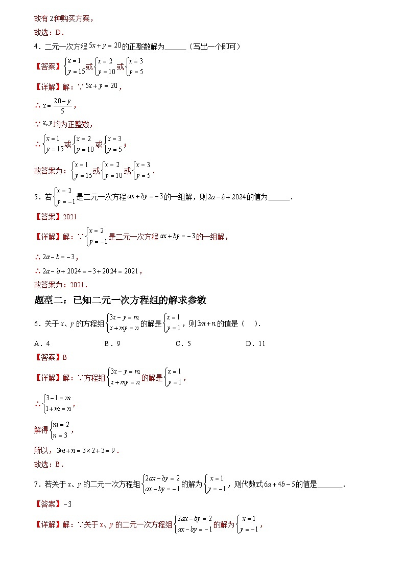 2024年七年级数学暑假培优练（人教版）-暑假作业06 解二元一次方程（组）类型题精练（原卷版+解析版）03